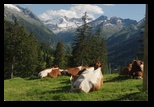 Drumul 108 - Lienz - Innsbruck -28-06-2011 - Bogdan Balaban
